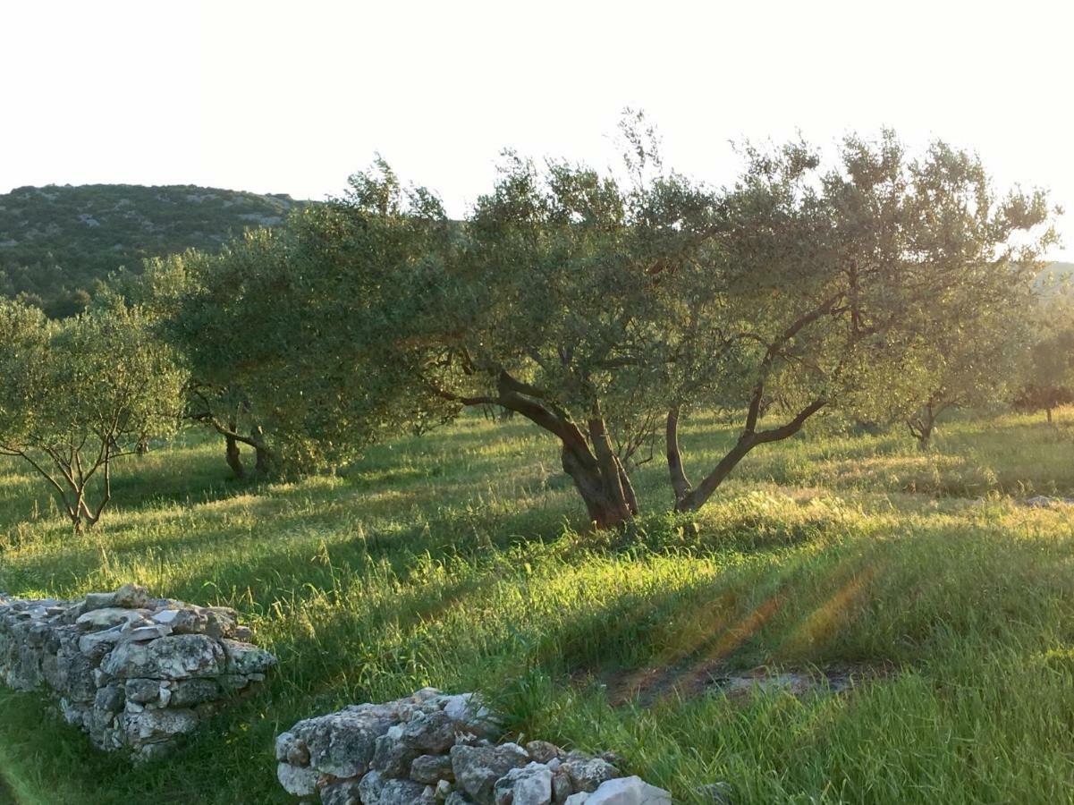 Lavanda Tribalj Εξωτερικό φωτογραφία