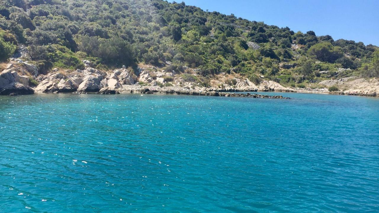 Lavanda Tribalj Εξωτερικό φωτογραφία